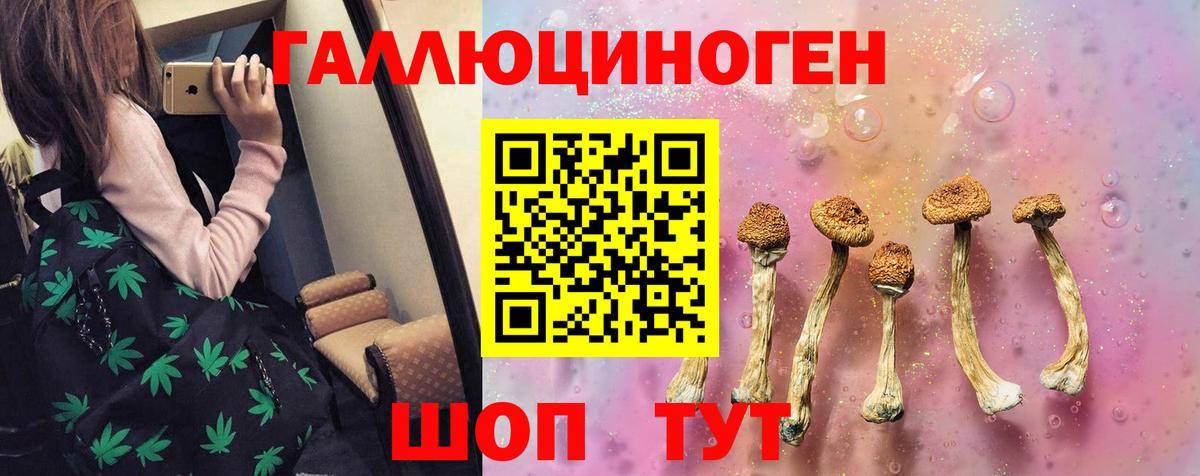 Псилоцибиновые грибы прущие грибы Канаш