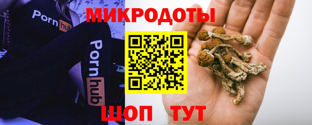 Галлюциногенные грибы мицелий  Галлюциногенные грибы прущие грибы  Канаш  Вход с VPN 